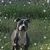 George E. Selander's profile image