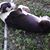 Maryann Clenons's profile image