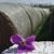 Candida Herrada-Spackman's profile image