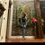 Tammy Pham's profile image