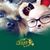 Jennifer Murschel Stiefel's profile image