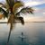 Lynne Bentley-Kemp's profile image