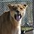 Kimberly Williams Corley's profile image