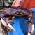 Kim Pingle's profile image
