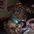 Murphy Jay Smith's profile image