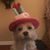 Tara Fitzgerald's profile image