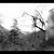Amy Nickerson Gurske's profile image