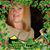 Debbie Erickson Nagy's profile image