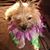Elizabeth Steber's profile image