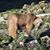 David Lohfink's profile image