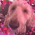 Lori Kozar Mostik's profile image