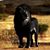 Bryce M County's profile image
