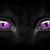 Jean Elzinga Dougherty's profile image