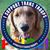 Anne Smith's profile image