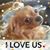 Kathleen Schutter's profile image