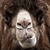 Paul Herlocker's profile image