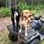 Sadie Lou Elvis Shiloh's profile image