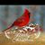 Linda Myers Scheetz's profile image