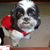 Barbara Patton's profile image