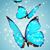 Maegen English's profile image
