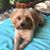 Sherry Wyleta's profile image