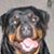 Rhonda Woody's profile image