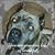 Terri Freiberger's profile image