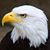 Dennis James Doherty's profile image