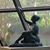 Theresa Walker's profile image