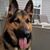 Herb Craine's profile image