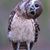 David Fusner's profile image
