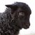 Thee Devin Devine's profile image