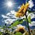 Tanya Mahaffey's profile image