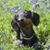 Alice McCarty's profile image