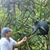 Christopher F Cronan's profile image