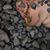 Burr Wildwood's profile image