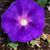 Sue Liegel-Heather's profile image
