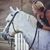 Jadriene Quast Shuford's profile image