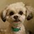 Renee Christian's profile image
