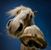 Teri Jackson's profile image