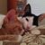 Peg Poling's profile image