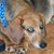 Donna Dieske's profile image