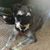 Jessica Horder's profile image