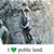Cristina Rose Peterson's profile image
