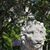 Shaanette Frederiksen's profile image