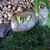 Janie Henke's profile image