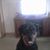JIm Ciani's profile image