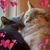 Pamela Gilman's profile image