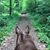 Karen Mulig Downer's profile image