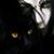 Emily White's profile image